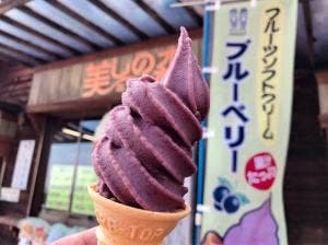 美しの森 駐車場 売店