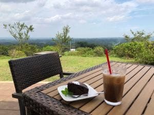 野見金山展望 カフェ ミハラシテラス