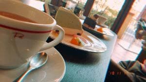 センプレコンテ パティオ