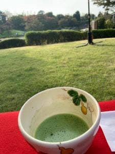 越谷市日本庭園花田苑 やすらぎの茶席