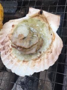 カキの徳栄丸