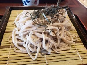 めん房本陣 砺波店