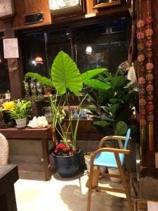 赤いとんがらし 富津店