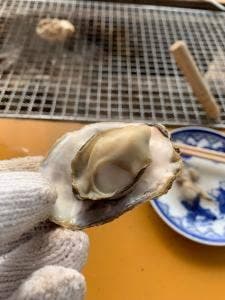 マルモ水産 九十九島海上かき小屋