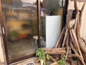 いまここ食堂