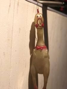 ちんぷんかんぷん 春日原
