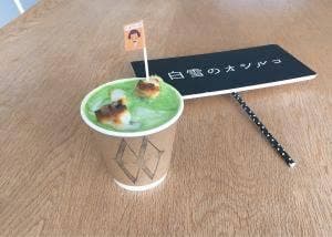 SHIRAYUKI 札幌愛生舘ビル店