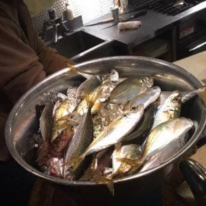 FRYING FISH