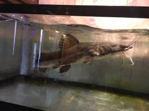 インディースアートクラブアンドギャラリー