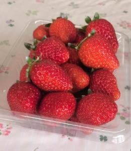 スカイファーム