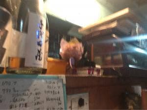 望波亭