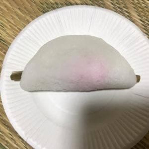 御菓子司青柳花うさぎ