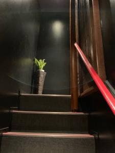 よひづき