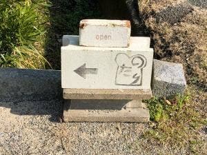 自家製酵母パン のたり
