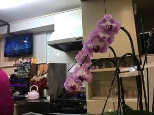 歌謡&演歌のお店 紅とんぼ