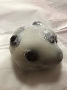 船橋家
