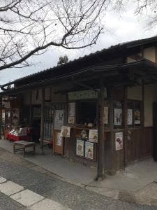 菜の花 龍安寺