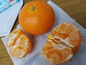 のま果樹園