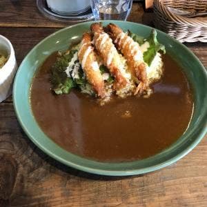 ナッシュカリーアメリカン