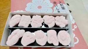 大野屋 高岡本店