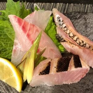 あまみの魚たち