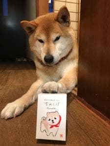 まめや金澤萬久 小田急百貨店 新宿店