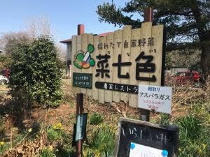 菜七色