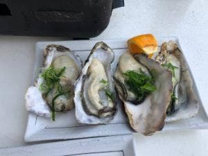 中義水産