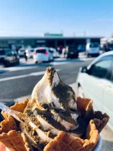 Gooz Express 狭山PA店