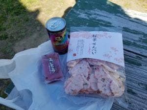 佐久間ダム湖 かわせみ