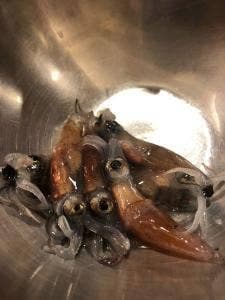 寿し処 粋