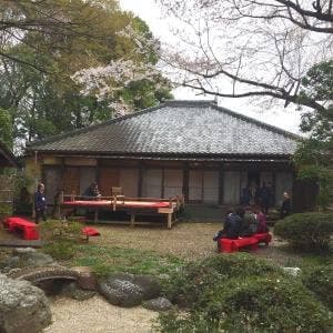 SAKURA CAFE 川越中院