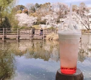 マクドナルド 白楽駅前店