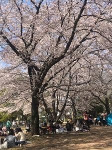 とりサブロー 越谷蒲生店