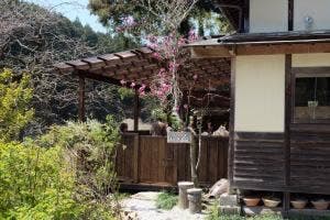 陶工房cafe夢紅