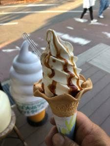 まほろば大仏プリン本舗 東大寺門前夢風ひろば店