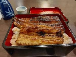 鰻 なかや