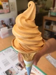 モミノキコア エヌ