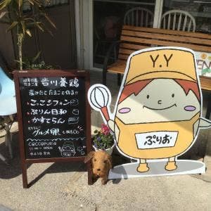 吉川養鶏 COCCOPURIO
