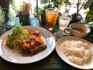GreenWizardCafe