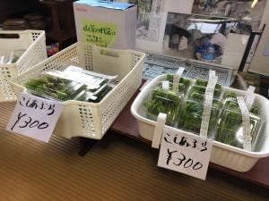 二井宿わくわく交流館 二井宿そば