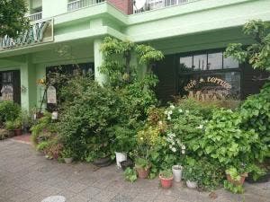 マイウエイ
