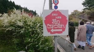 栗の里 花のじゅうたん園内