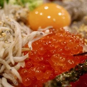 熱海漁師めし どろめ