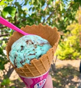 サーティワンアイスクリーム 浜名湖SA店