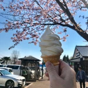 浦臼ヘルシー食品物産館