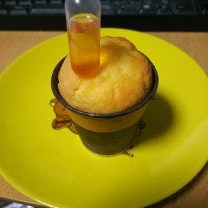パン屋 salut!!