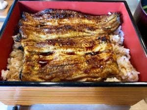 うなよし