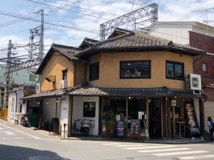 リトルドラゴン