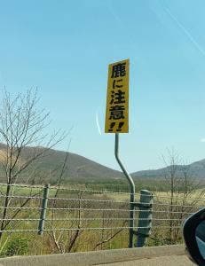 とかち平原 マルシェ 道東道十勝平原SA